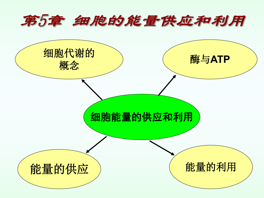 高三生物一轮复习-专题9-降低化学反应活化能的酶.ppt_第1页