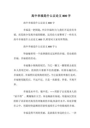 高中幸福是什么议论文800字.docx