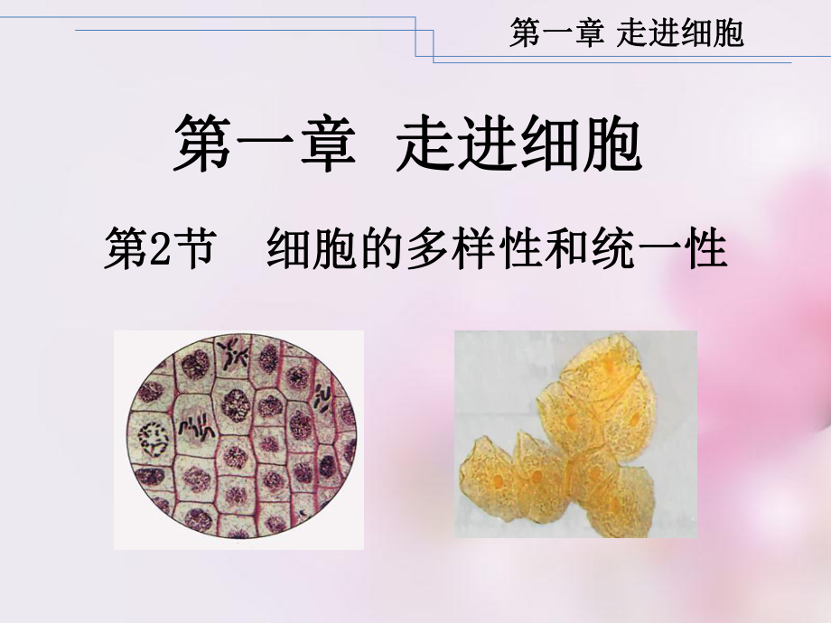 高中三年级生物必修1第二课时课件.ppt_第1页