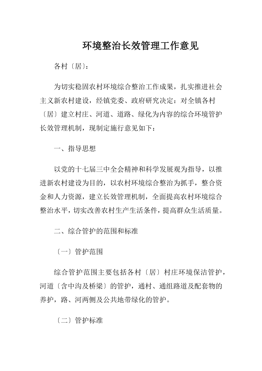 环境整治长效管理工作意见.docx_第1页