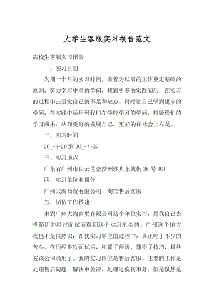 大学生客服实习报告范文范例.docx