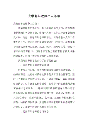 大学青年教师个人总结精品.docx