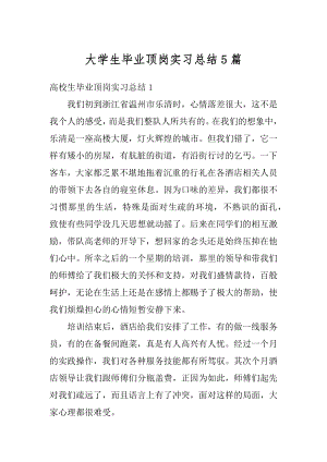 大学生毕业顶岗实习总结5篇范例.docx