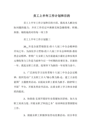 员工上半年工作计划和目的.docx