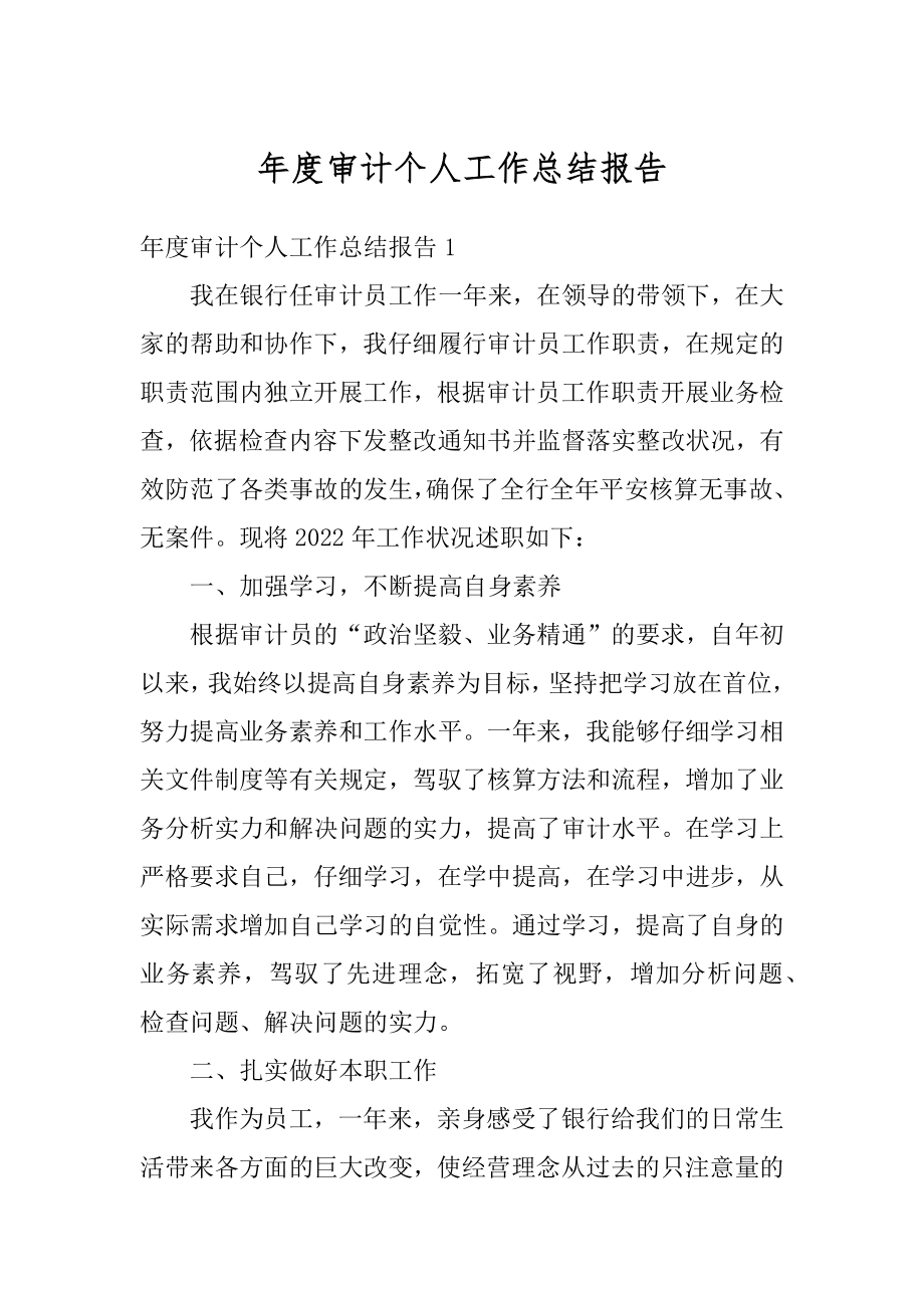 年度审计个人工作总结报告范例.docx_第1页