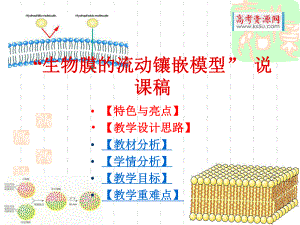 生物：42《生物膜的流动镶嵌模型》课件（新人教版必修1）.ppt