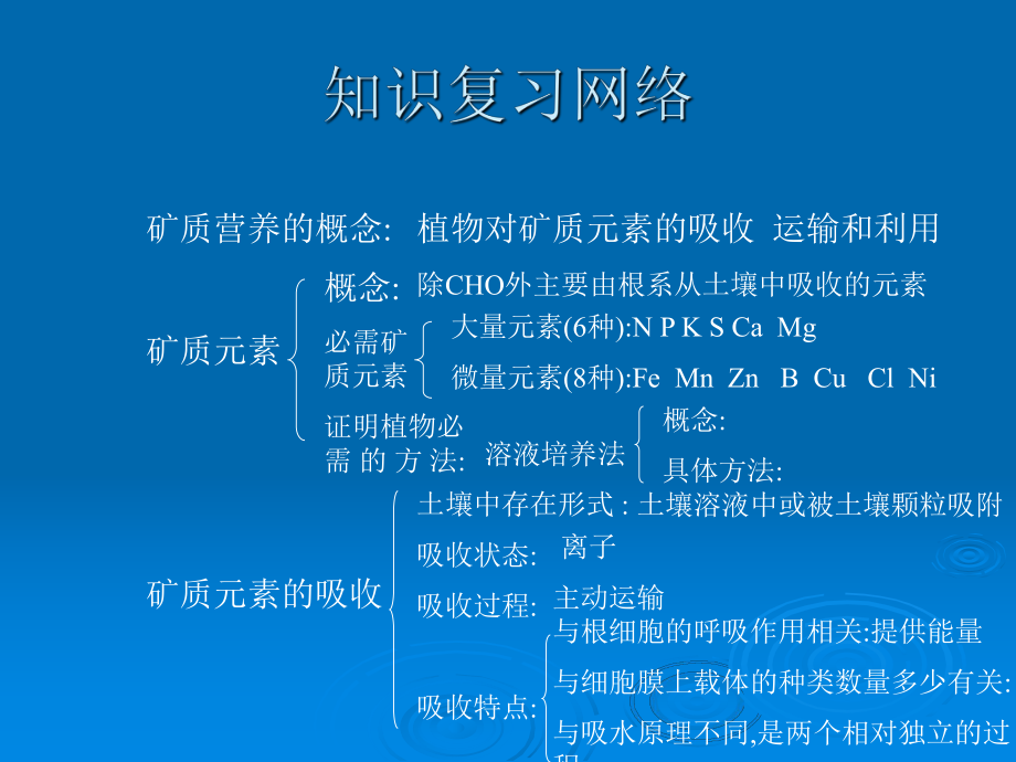 植物的矿质营养课件师文库.ppt_第2页