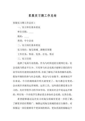 客服实习期工作总结精品.docx