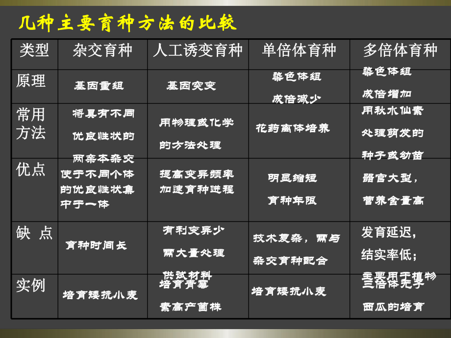 62基因工程及其应用课件.pptx_第1页