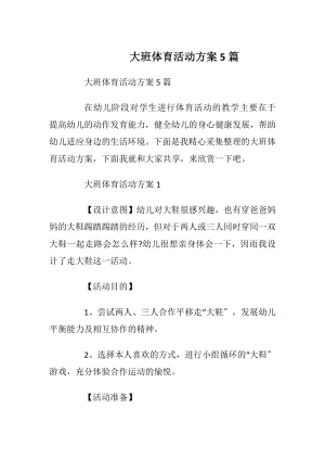 大班体育活动方案5篇.docx