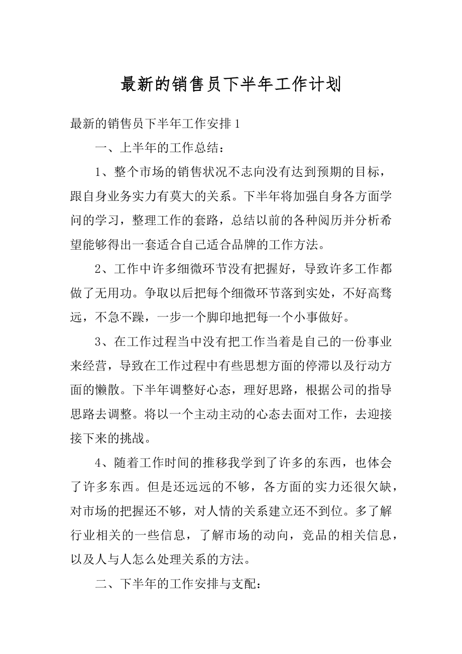 最新的销售员下半年工作计划范文.docx_第1页