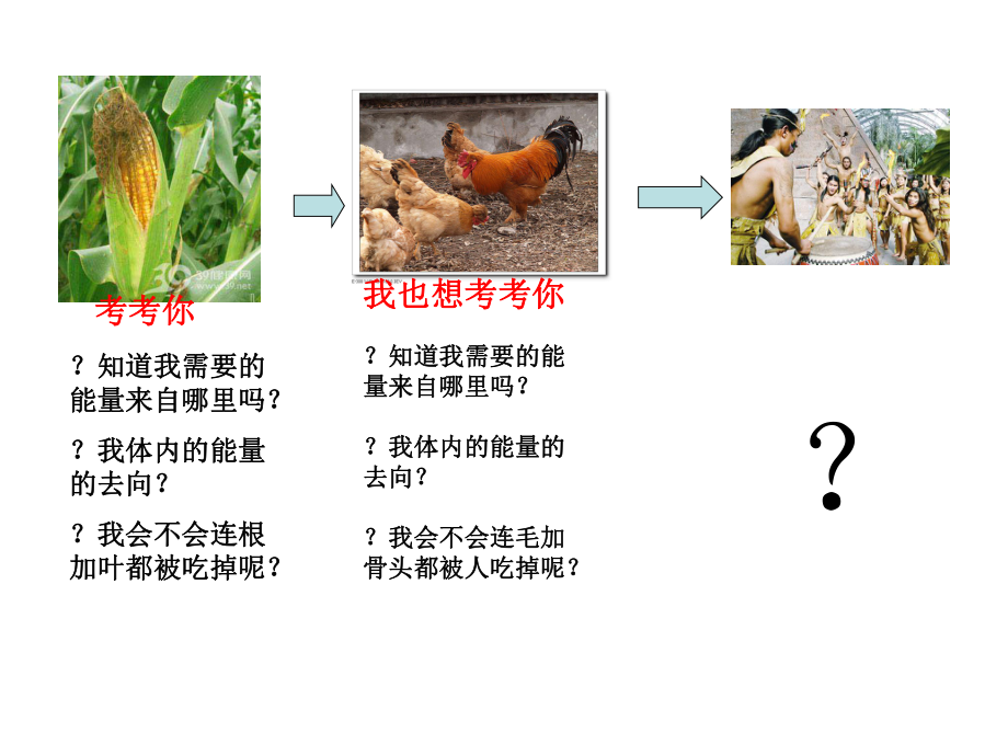 生态系统的能量流动1.ppt_第2页