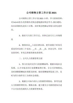 公司销售主管工作计划2021.docx