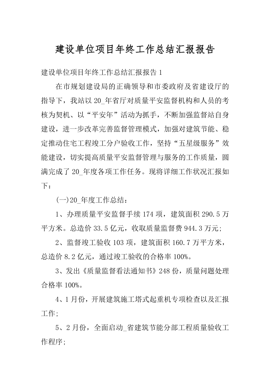 建设单位项目年终工作总结汇报报告优质.docx_第1页