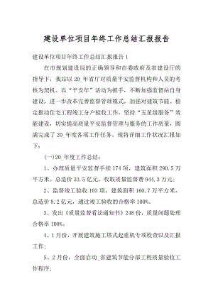 建设单位项目年终工作总结汇报报告优质.docx