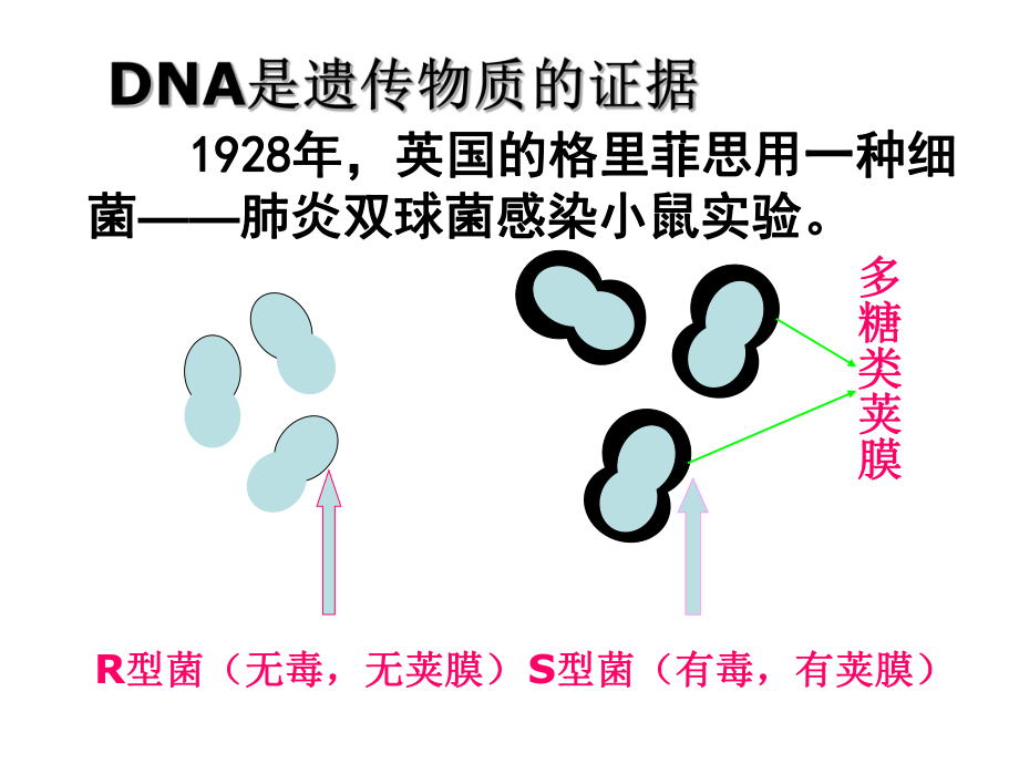 DNA是主要的遗传物质.pptx_第2页