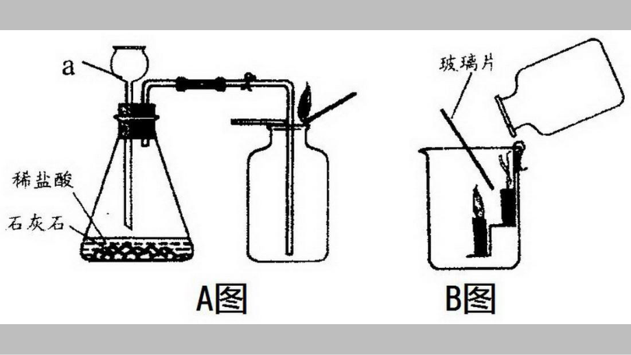 二氧化碳制取实验探究.pptx_第2页