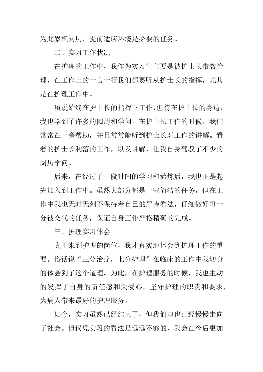 大专学生个人实习报告精选.docx_第2页