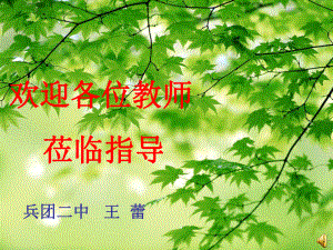 水龙吟辛弃疾.ppt