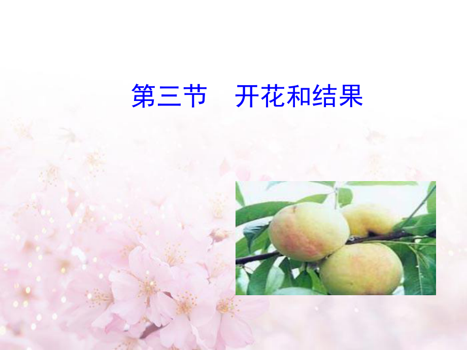 七上第三单元第二章第三节开花和结果.ppt_第1页