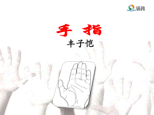 《手指》教学课件.ppt