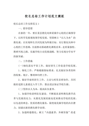 校长总结工作计划范文模板汇编.docx