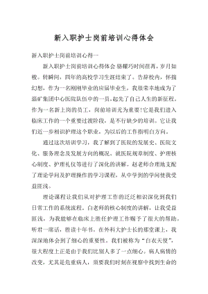 新入职护士岗前培训心得体会例文.docx