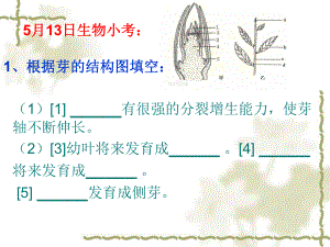 5月13日早晨小考.ppt