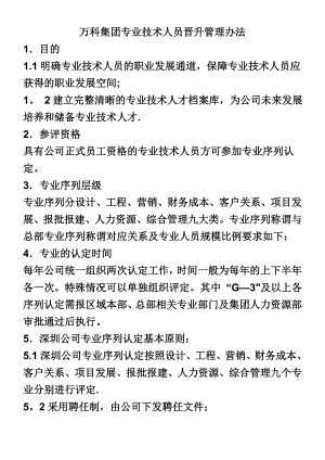 万科集团专业技术人员晋升管理办法.doc