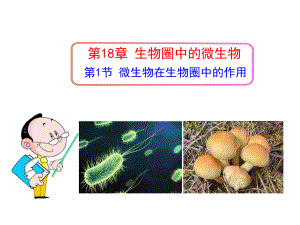 181微生物与人类的关系.ppt