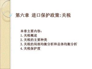 进口保护政策关税概述.pptx