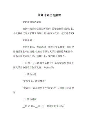 策划计划优选集锦.docx