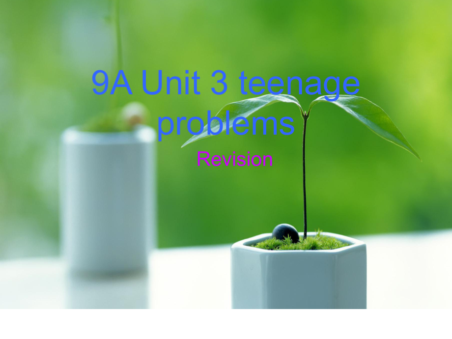 9上unit3Revision课件.ppt_第1页