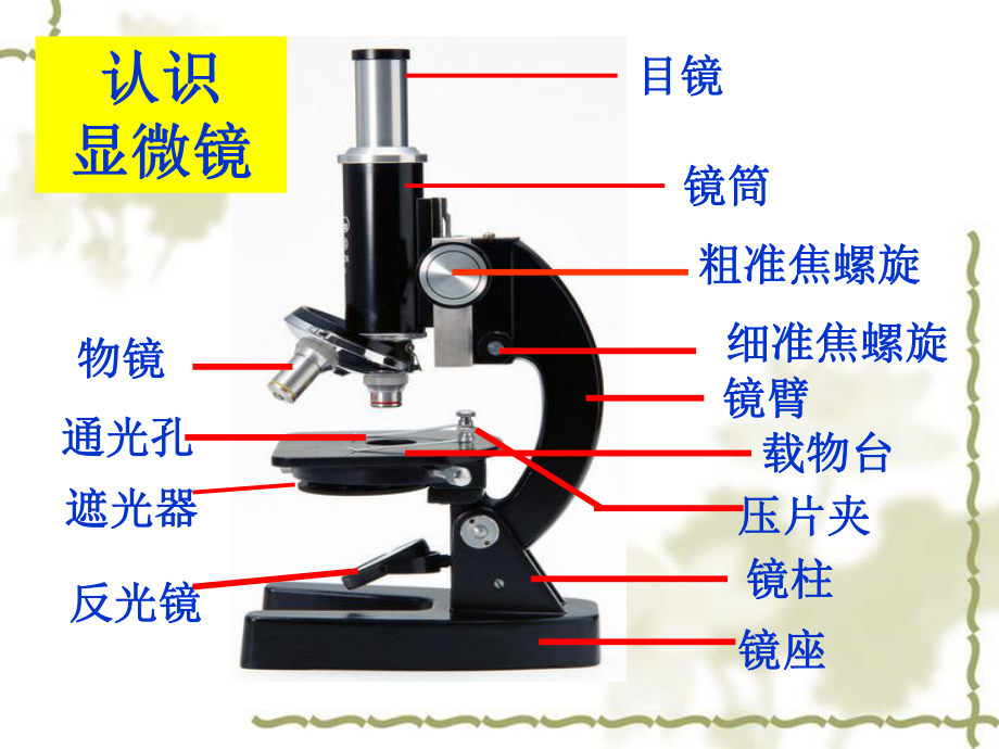 2-2探索生命的方法课件.ppt_第2页