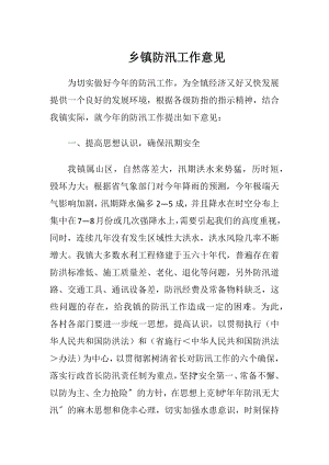 乡镇防汛工作意见.docx