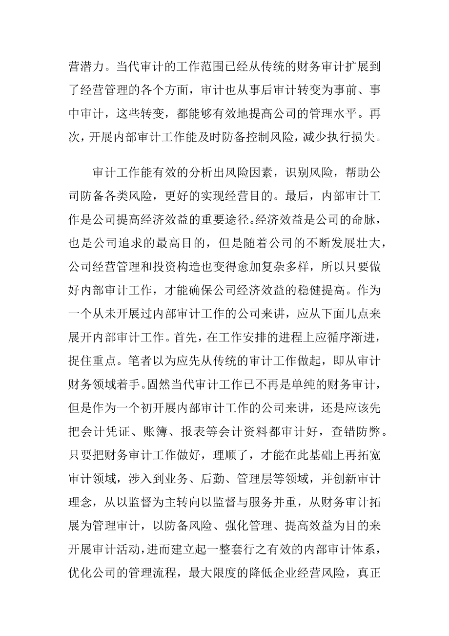 加强公司内部审计工作考虑.docx_第2页