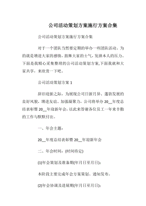 公司活动策划方案施行方案合集.docx