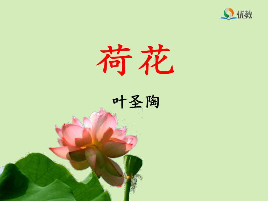 《荷花》优教课件（第一课时）.ppt_第1页