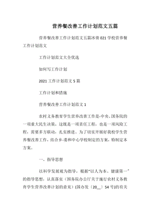 营养餐改善工作计划范文五篇.docx