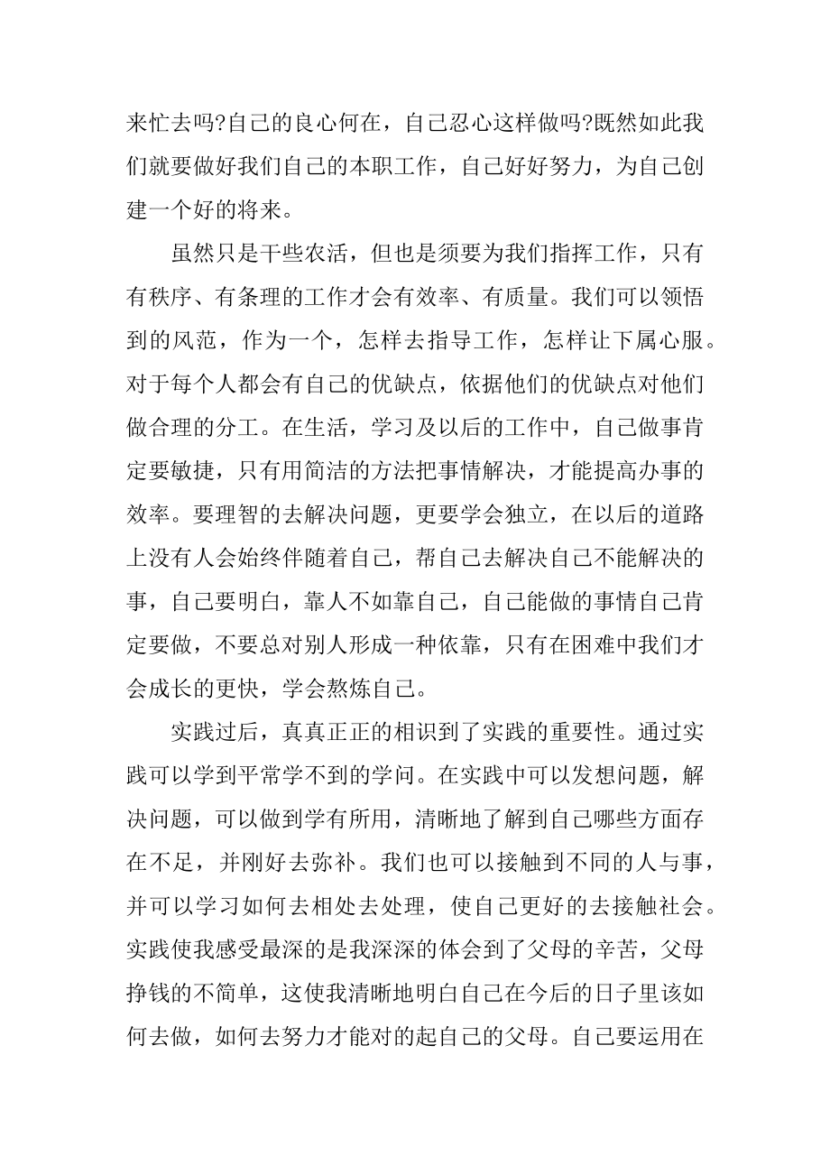 大学生寒假实践报告精选范文汇编.docx_第2页