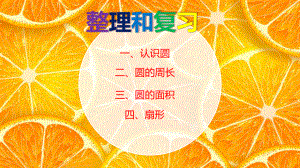 圆整理与复习新.pptx