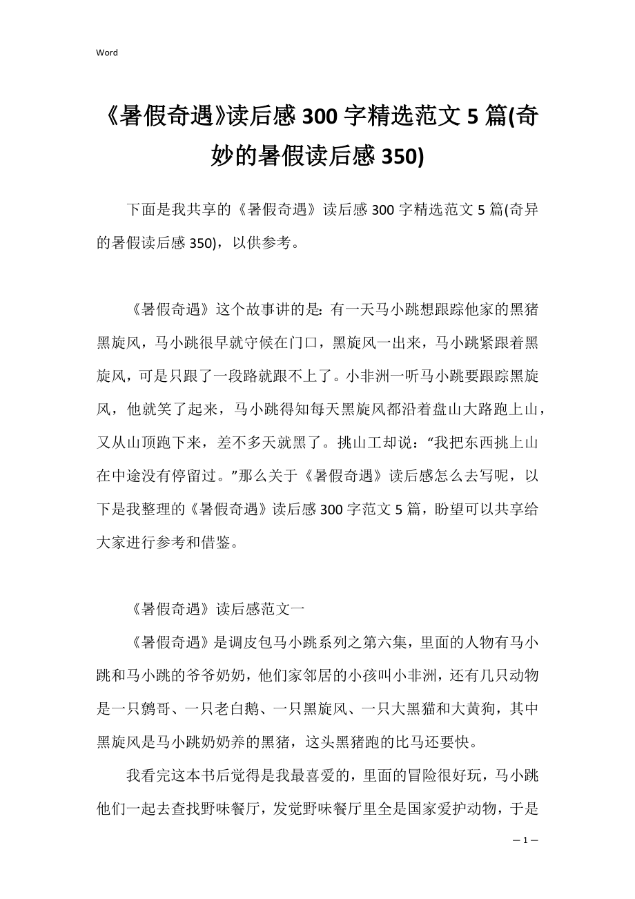 《暑假奇遇》读后感300字精选范文5篇(奇妙的暑假读后感350).docx_第1页