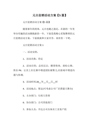 元旦促销活动方案【5篇】.docx