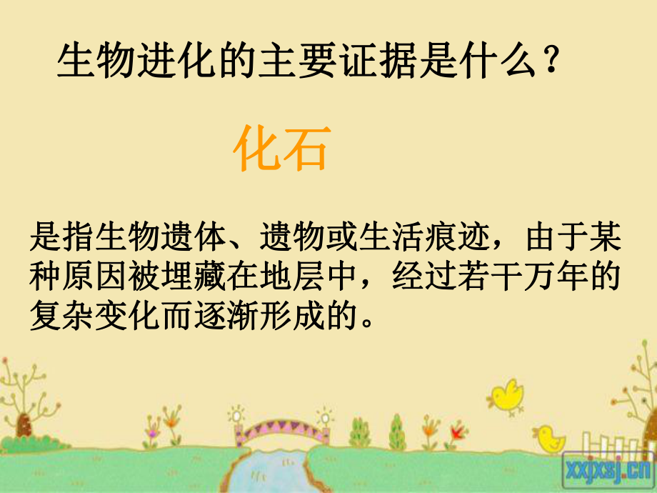 生物进化的原因 (5).ppt_第2页