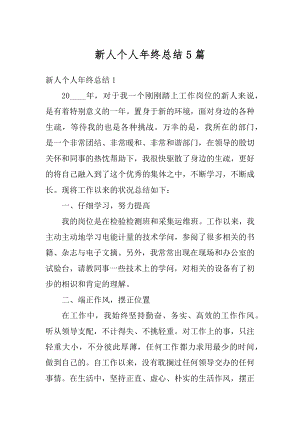 新人个人年终总结5篇范文.docx