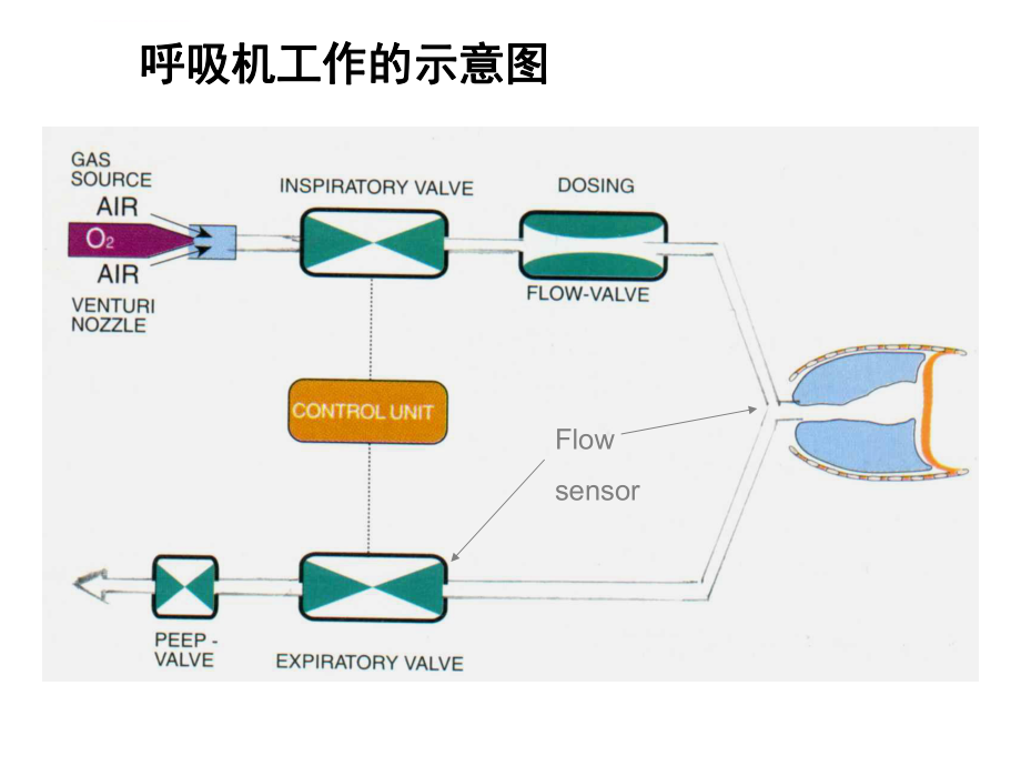 机械通气波形分析ppt课件.ppt_第2页