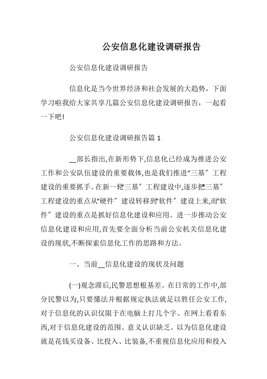 公安信息化建设调研报告_1.docx_第1页