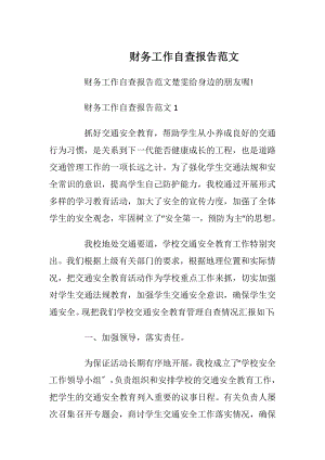 财务工作自查报告范文_1.docx