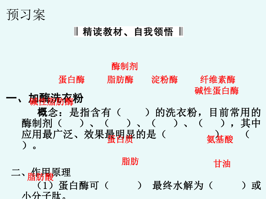 探讨加酶洗衣粉的洗涤效果公开课ppt课件.ppt_第2页