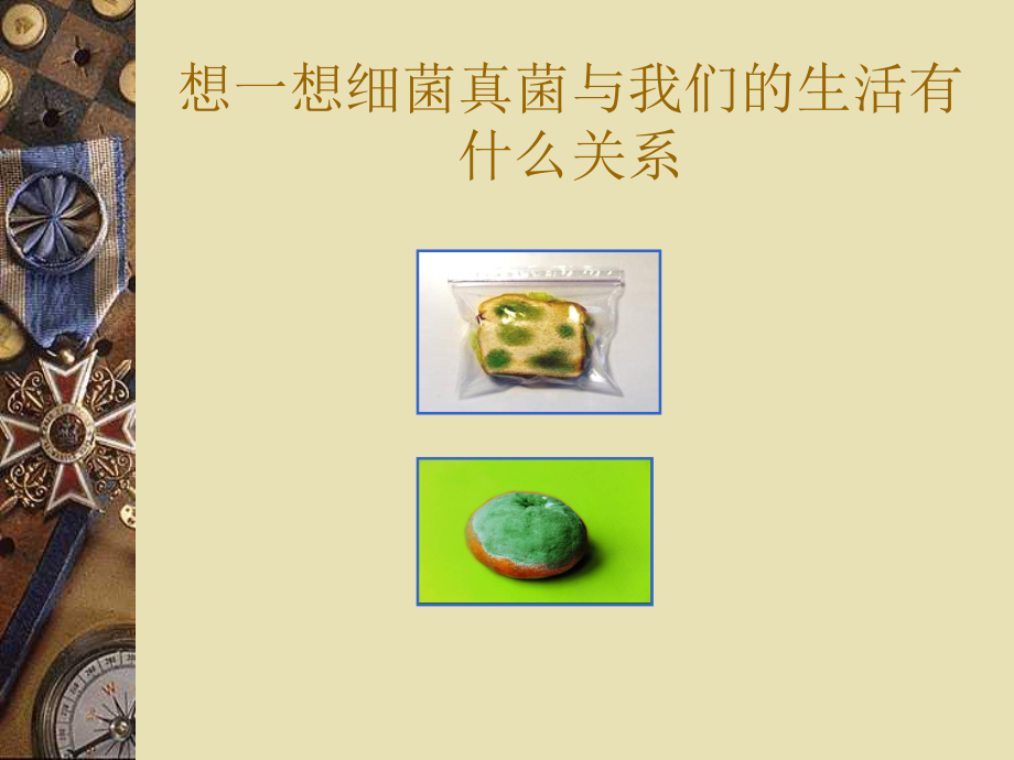 5-5-2人类对细菌和真菌的利用课件.ppt_第2页